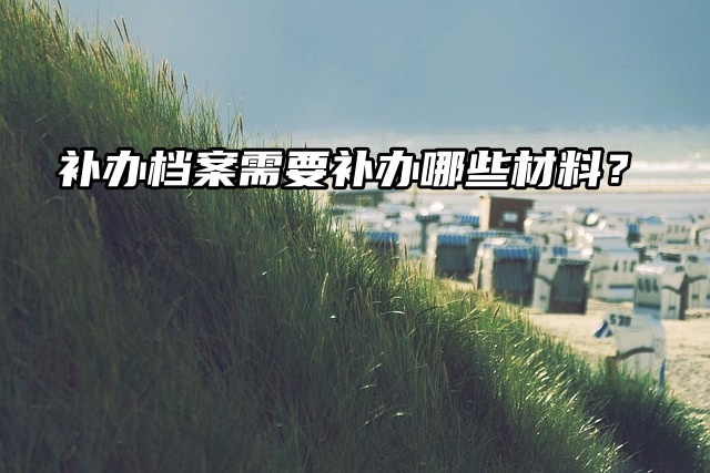 想补办档案，但又不知道需要补办哪些材料