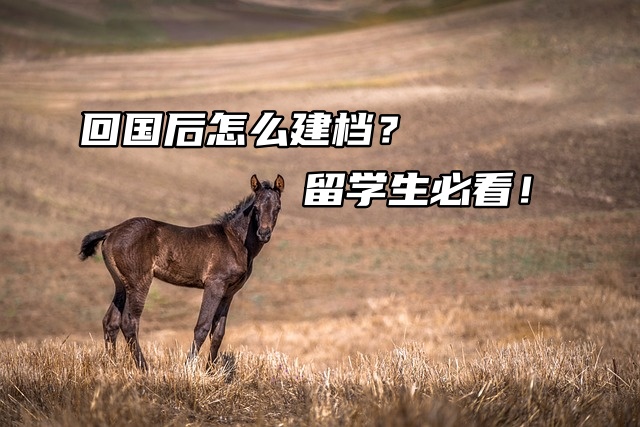 回国后怎么建档？留学生必看！