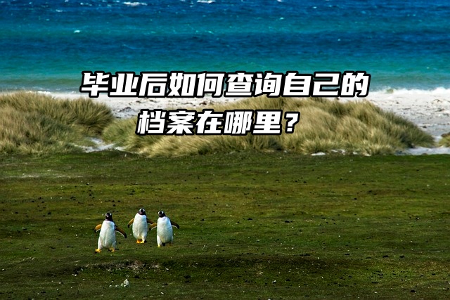 毕业后如何查询自己的档案在哪里？