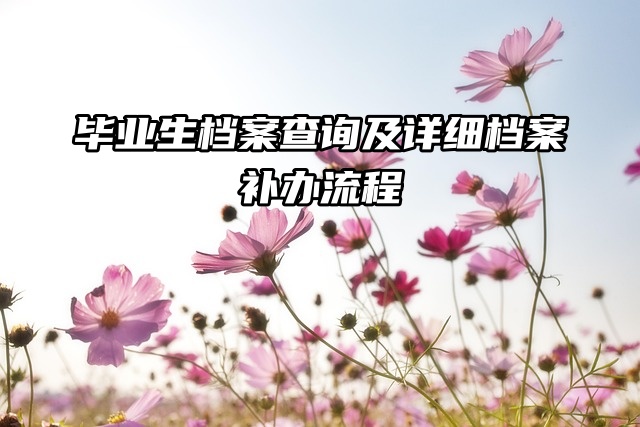 毕业生档案查询及详细档案补办流程来了！