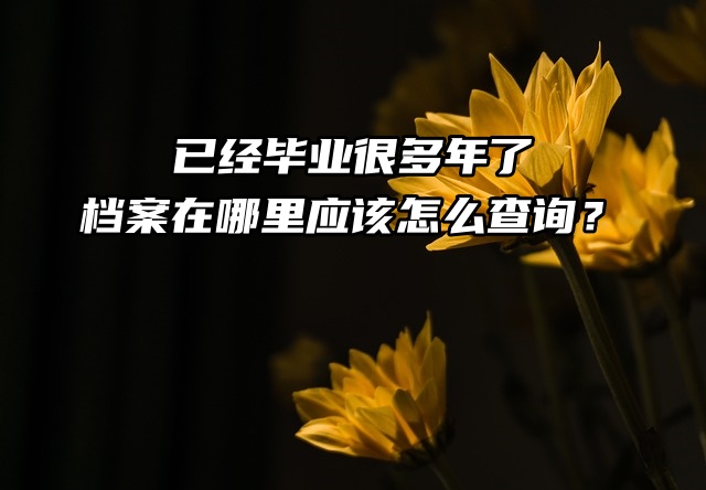 已经毕业很多年了，档案在哪里应该怎么查询？