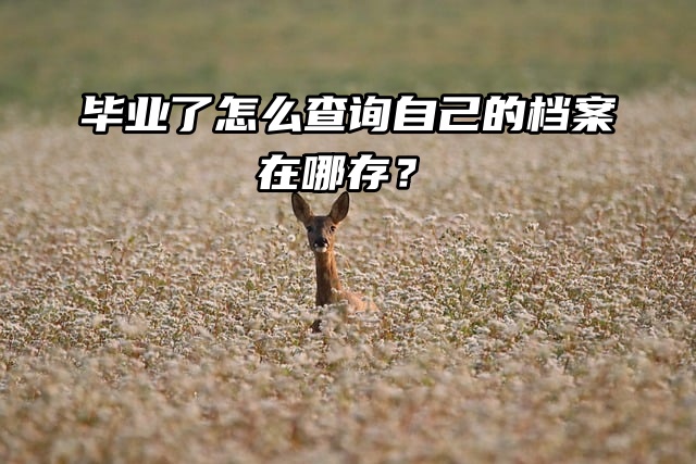 毕业了怎么查询自己的档案在哪存？