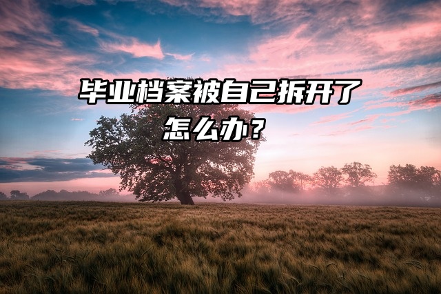 哭了，毕业档案被自己拆开了怎么办？
