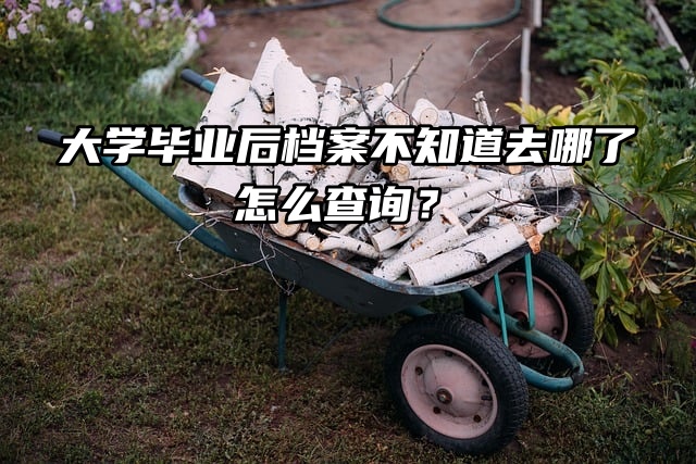 大学毕业后档案不知道去哪了，怎么查询？