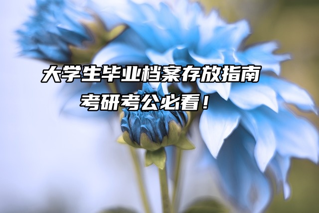 大学生毕业档案存放指南：考研考公必看！