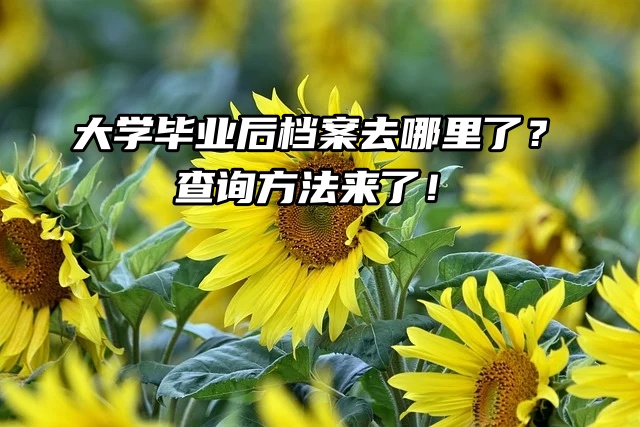 大学毕业后档案去哪里了？查询方法来了！