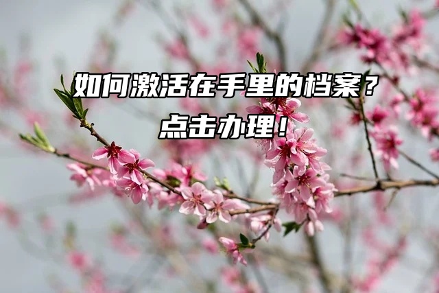 如何激活在手里的档案？点击办理！