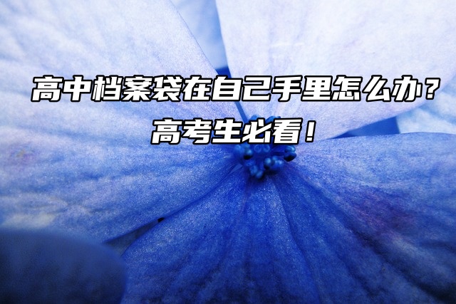 高中档案袋在自己手里怎么办？高考生必看！