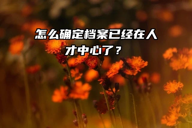毕业生来看：怎么确定档案已经在人才中心了？