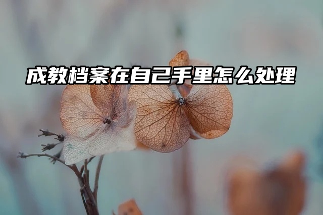 成教毕业后档案发给自己了怎么处理？