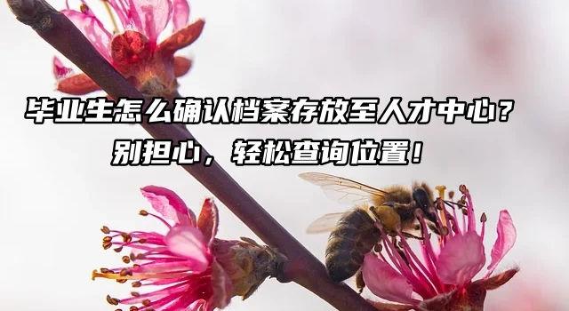 毕业生怎么确认档案存放至人才中心？别担心，轻松查询位置！