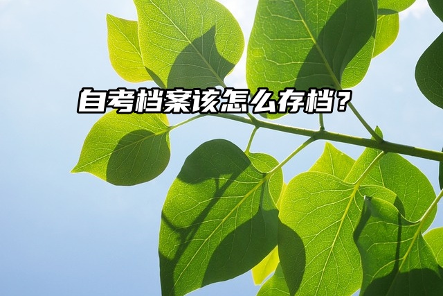 全部集合快来看！自考档案该怎么存档？