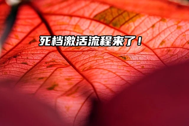 死档激活流程来喽：档案怎么密封？