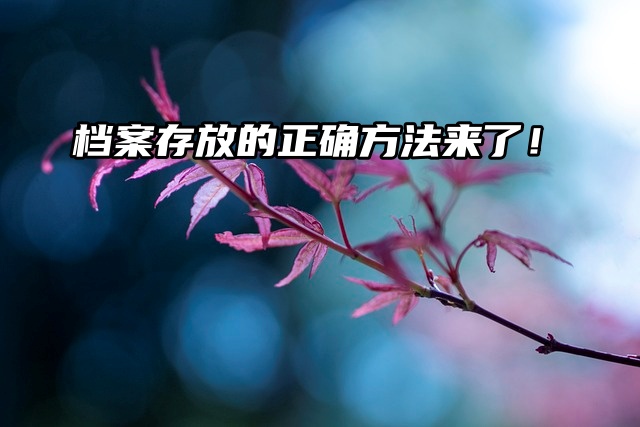 毕业生聚焦：档案存放的正确方法来了！