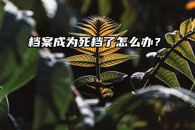 一招解决：档案成为死档了怎么办？
