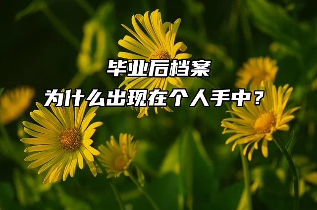 毕业后档案为什么出现在个人手中？