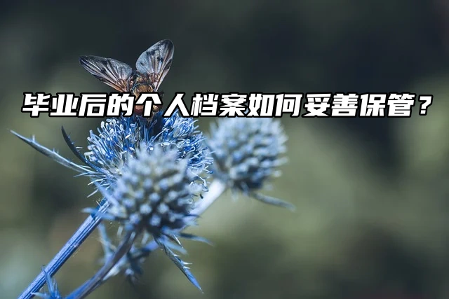 毕业生毕业后的个人档案如何妥善保管？