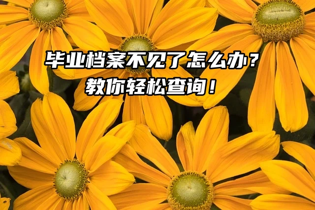 毕业档案不见了怎么办？教你轻松查询！
