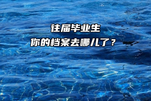 往届毕业生，你的档案去哪儿了？
