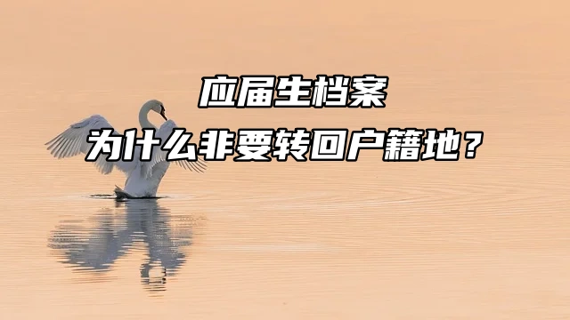 应届生档案为什么非要转回户籍地？