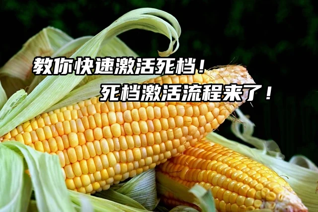 教你快速激活死档！死档激活流程来了！