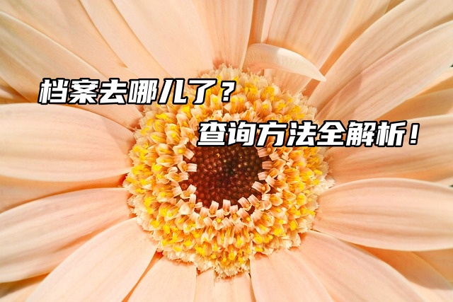 大学毕业生必看：档案去哪儿了？查询方法全解析！