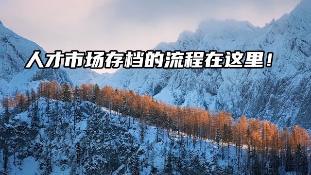 存档必看：人才市场存档的流程在这里！