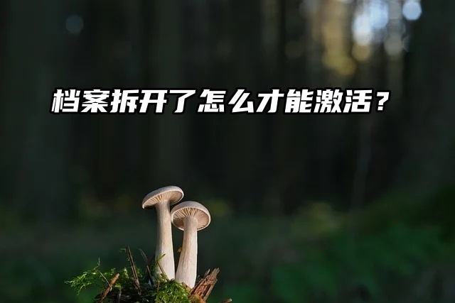 档案拆开了！怎么才能激活正常使用？