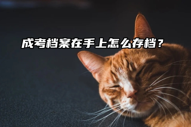 成考档案在手上怎么存档？存档妙计来了！
