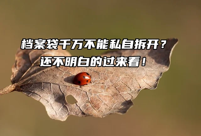档案袋千万不能私自拆开？还不明白的过来看！