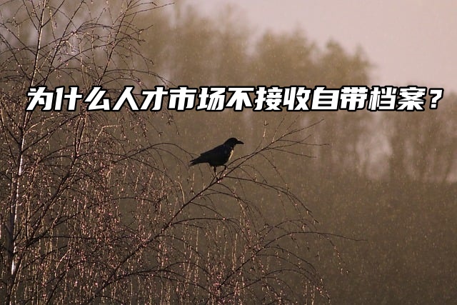 为什么人才市场不接收自带档案？