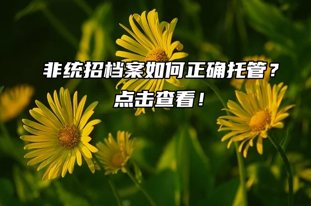 非统招档案如何正确托管？点击查看！