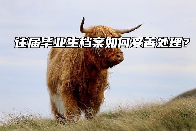 往届毕业生档案如何妥善处理？一分钟带你了解！