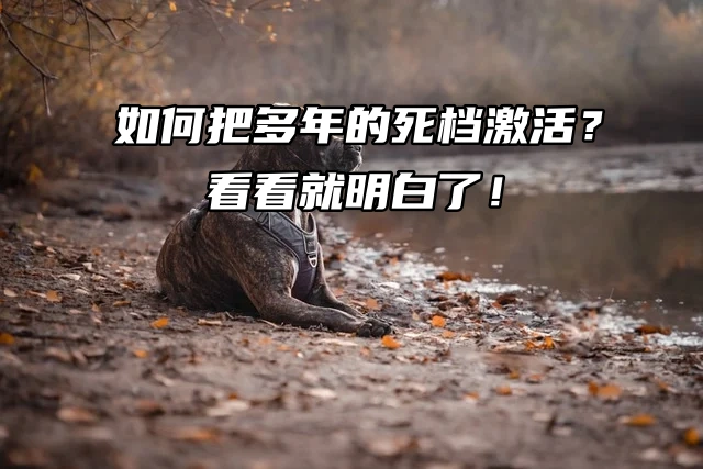 如何把多年的死档激活？看看就明白了！