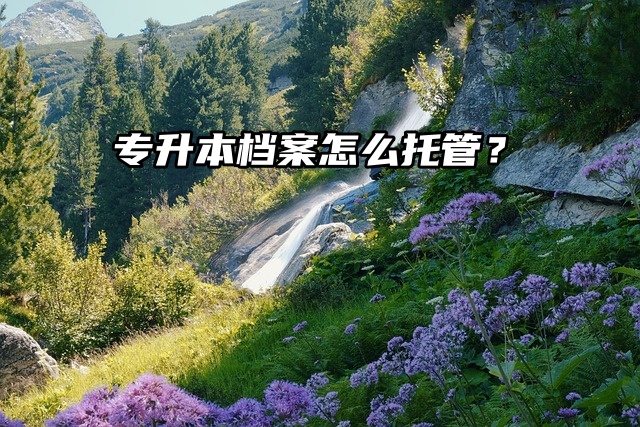 来看看吧！专升本档案怎么托管？