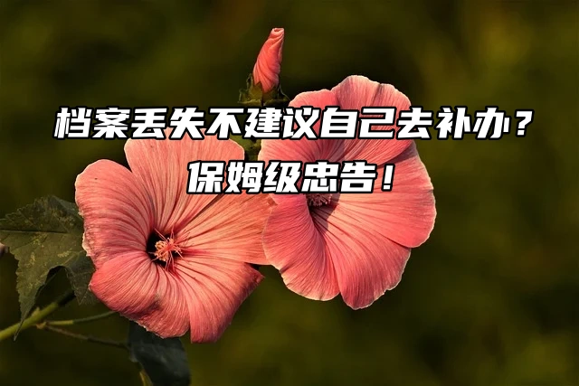 档案丢失不建议自己去补办？保姆级忠告！