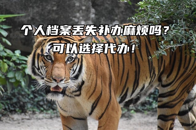 个人档案丢失补办麻烦吗？可以选择代办！