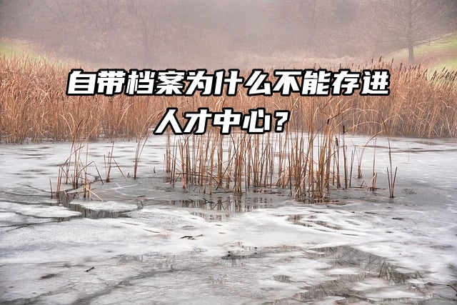 自带档案为什么不能存进人才中心？怎么解决？