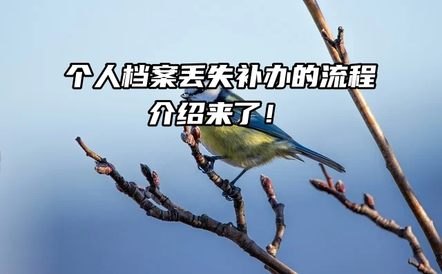 个人档案丢失怎么办？补办的流程介绍来了！