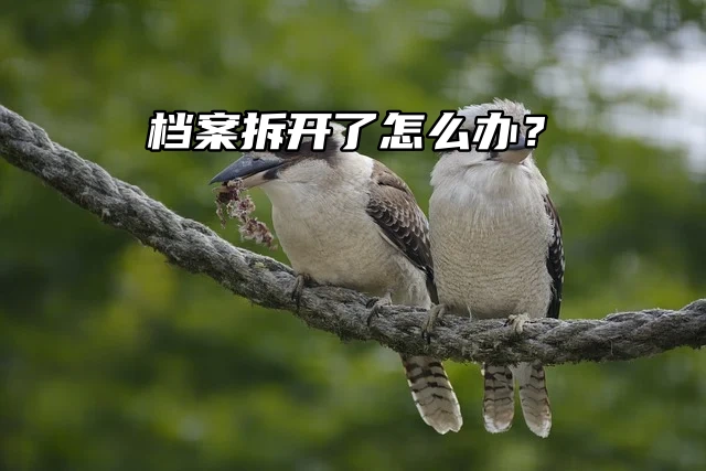 档案拆开了怎么办？专业处理，轻松搞定！