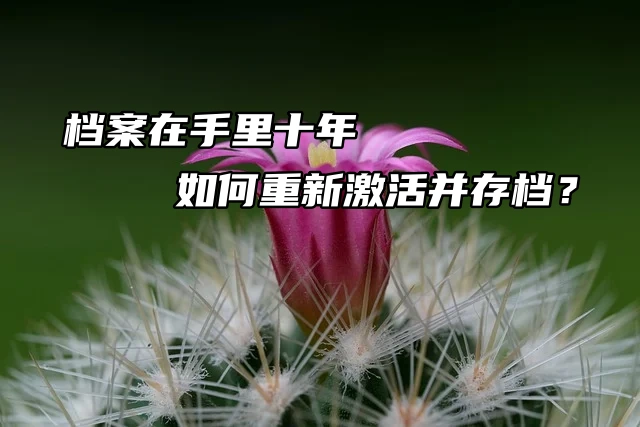 档案在手里十年如何重新激活并存档？