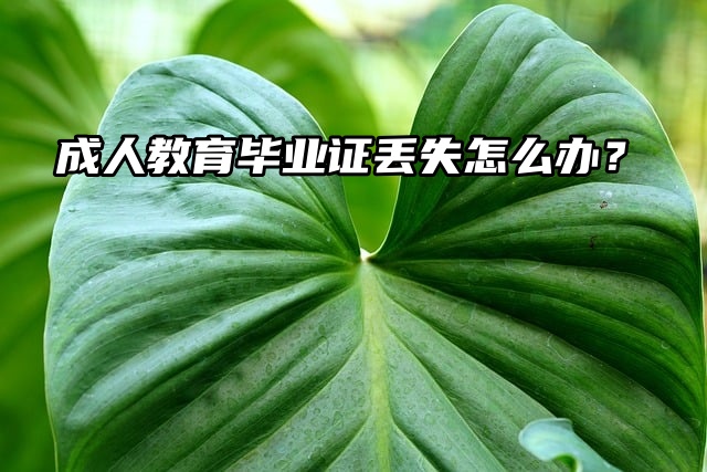 成人教育毕业证丢失怎么办？办理方法这里有！