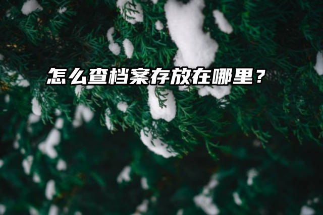 查档流程来了！怎么查档案存放在哪里？