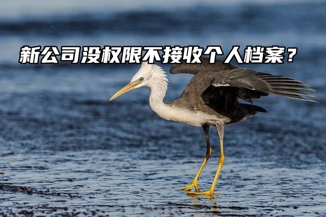 新公司没权限不接收档案？别慌，你有这些选择！