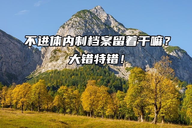 不进体内制档案留着干嘛？大错特错！