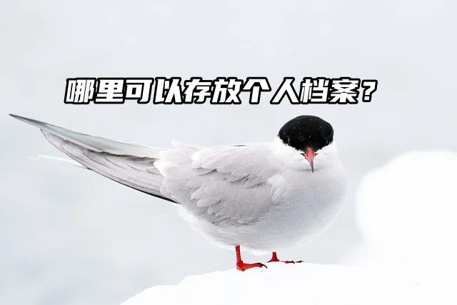 存档地介绍来了！哪里可以存放个人档案？