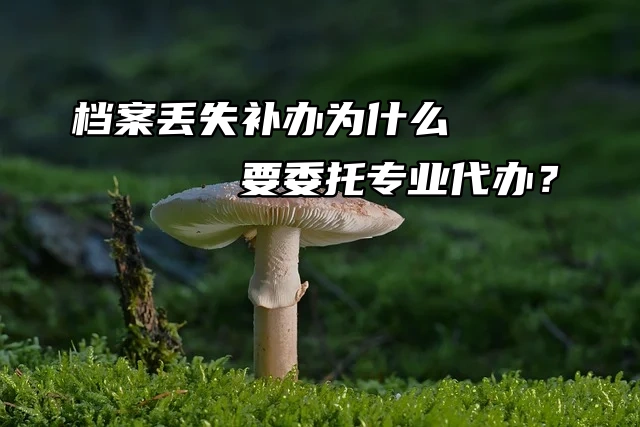 档案丢失补办为什么要委托专业代办？