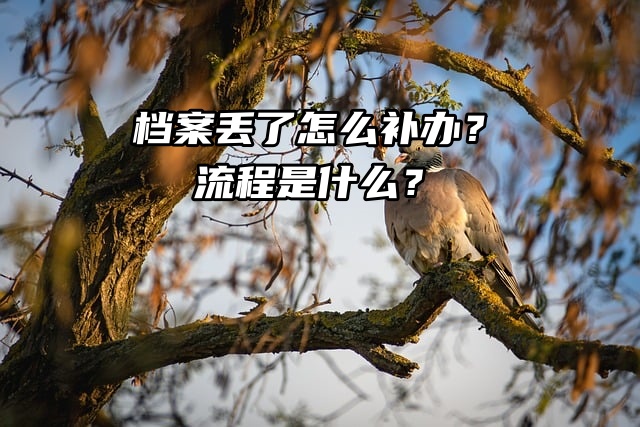 毕业生必看！档案丢了怎么补办？流程是什么？