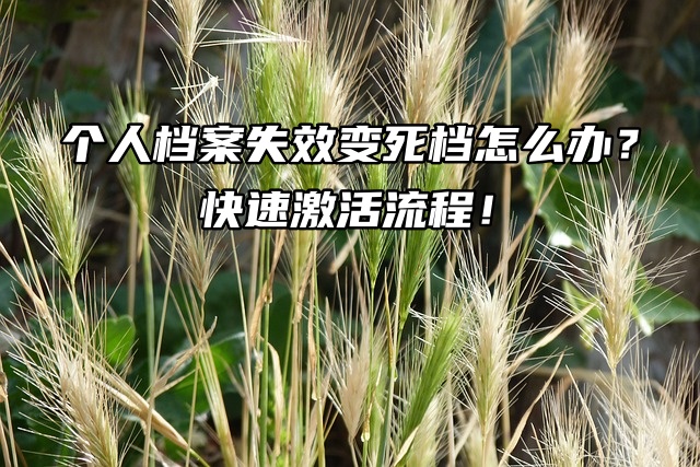 个人档案失效变死档怎么办？快速激活流程！