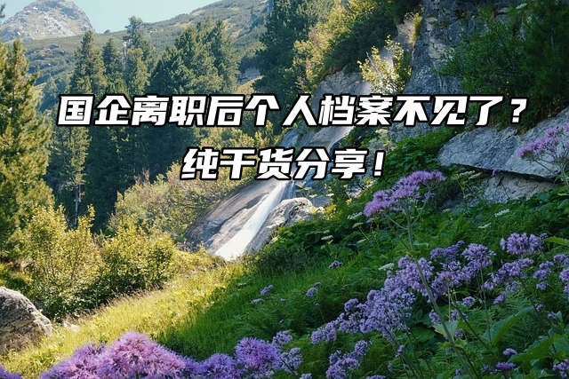 国企离职后个人档案不见了？纯干货分享！